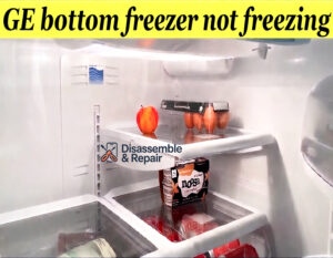 GE bottom freezer not freezing